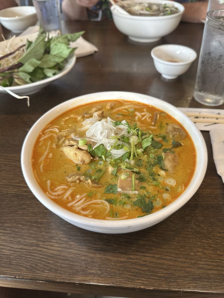 Chicken Curry Noodle Soup