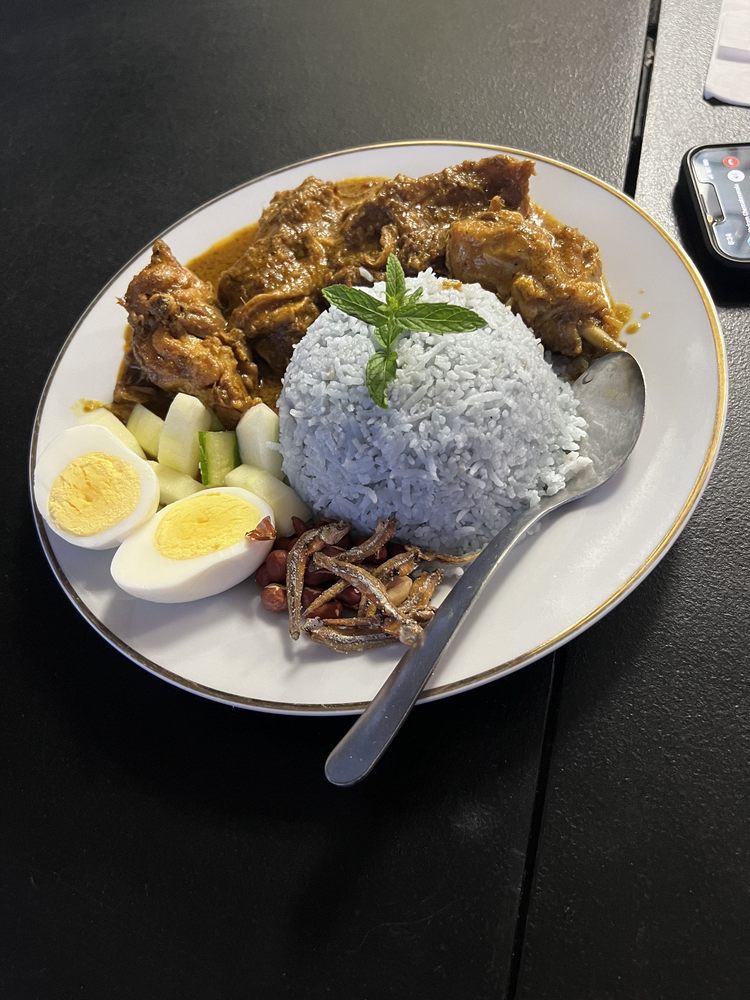 Malaysian Chicken Curry