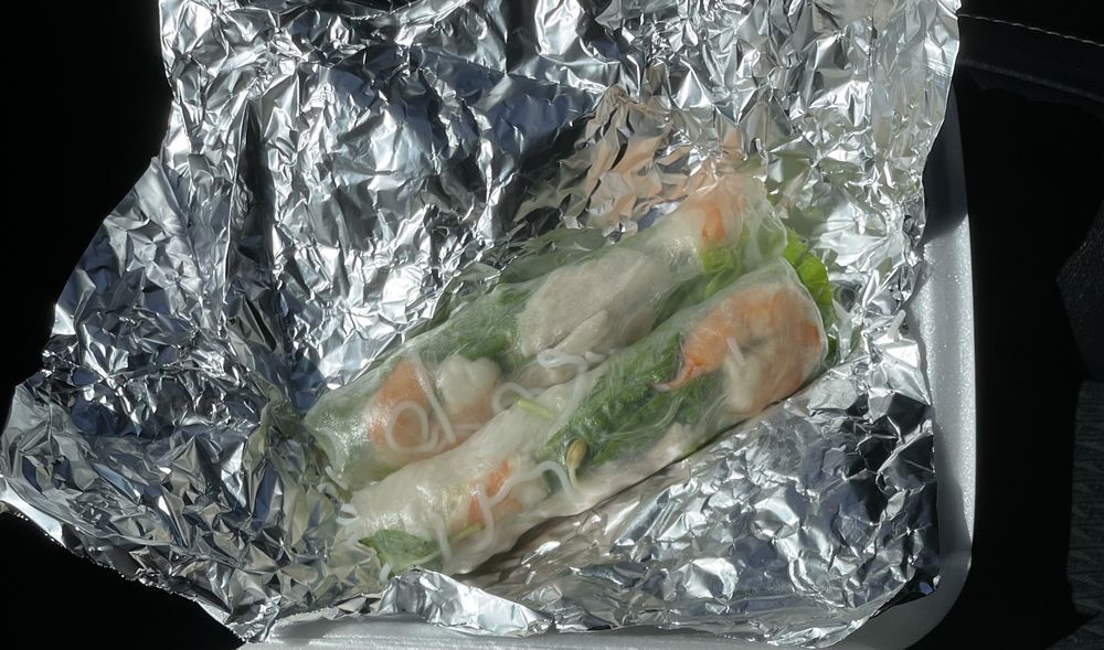 Spring Rolls