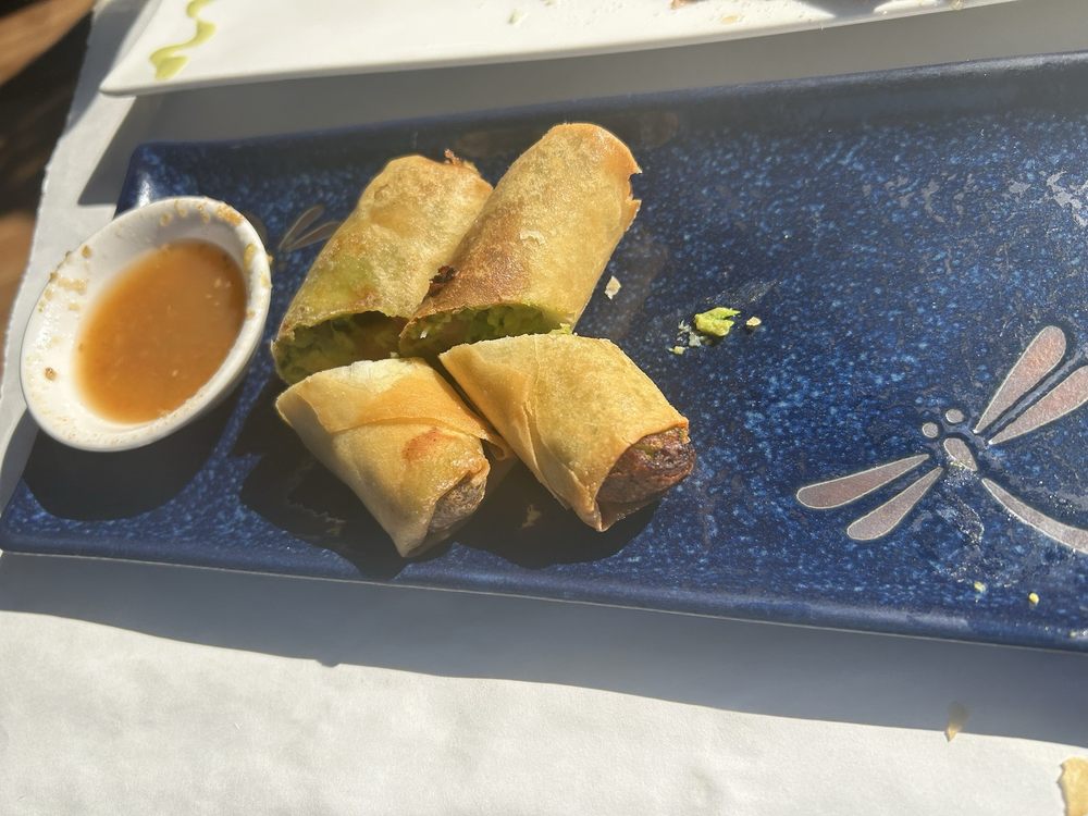 Vietnamese Spring Roll