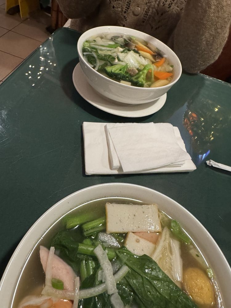 Girl Chicken Noodle Soups