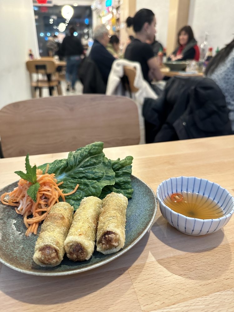 Crunchy Spring Rolls