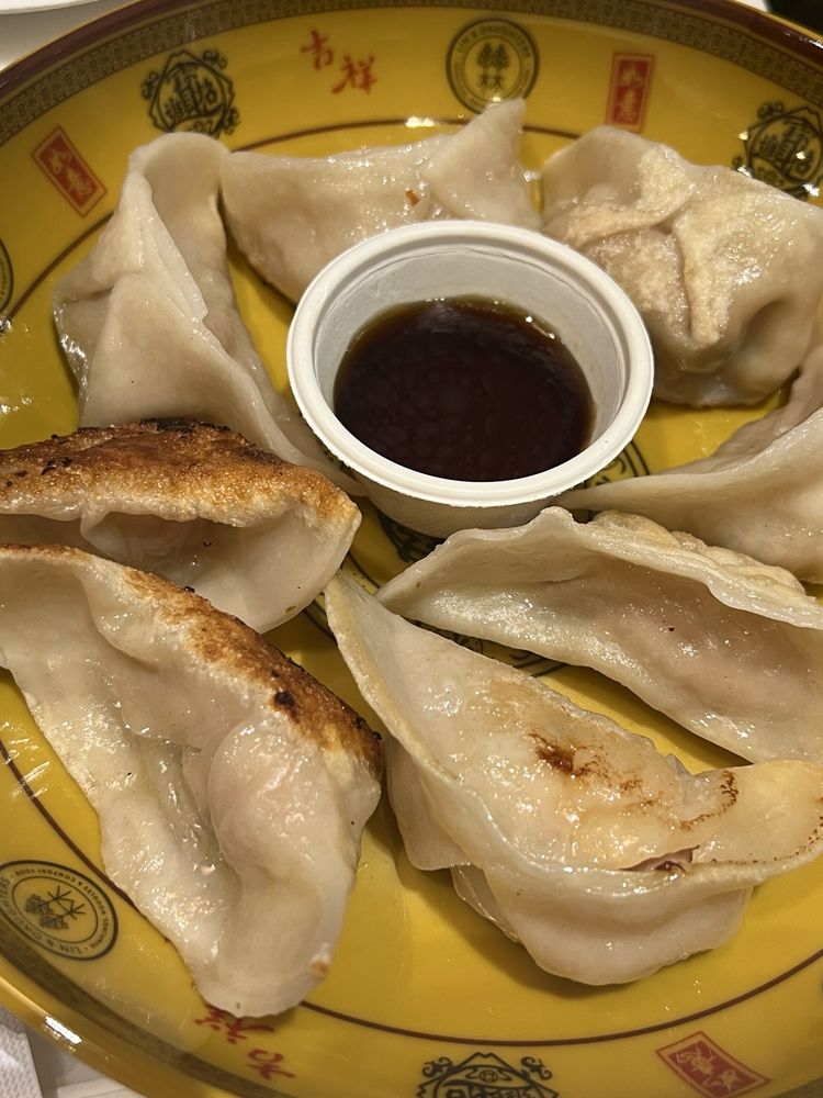 Pan Fried Curry Chicken Dumplings
