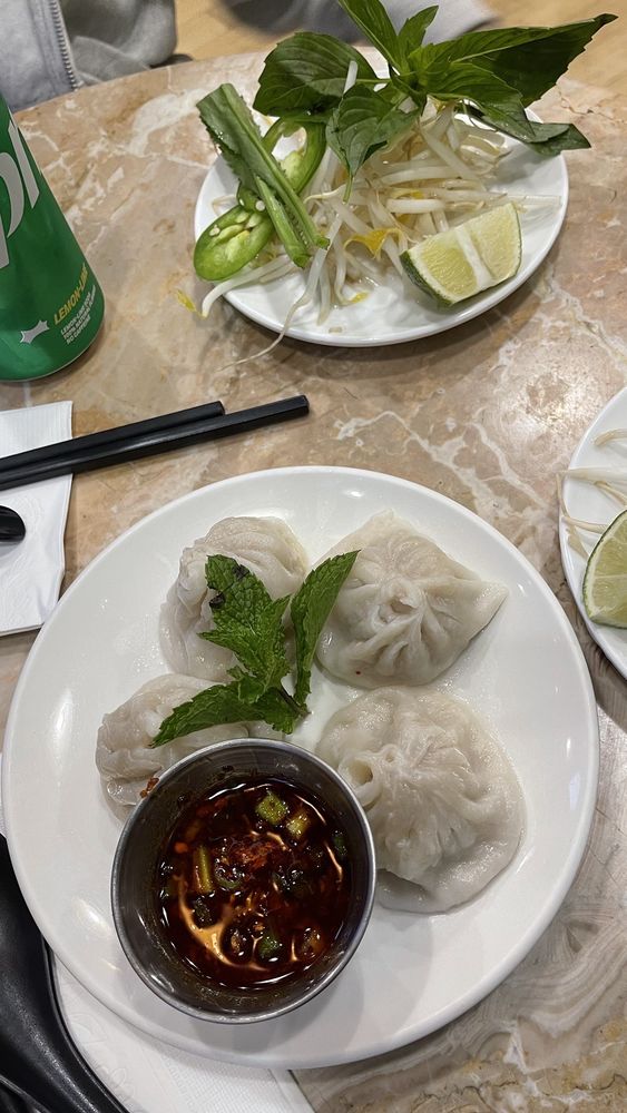 Pork Dumpling Pho