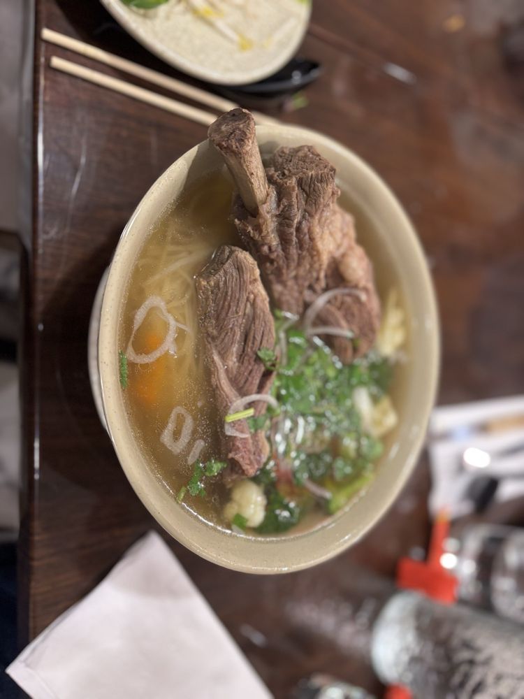 Short Rib Pho