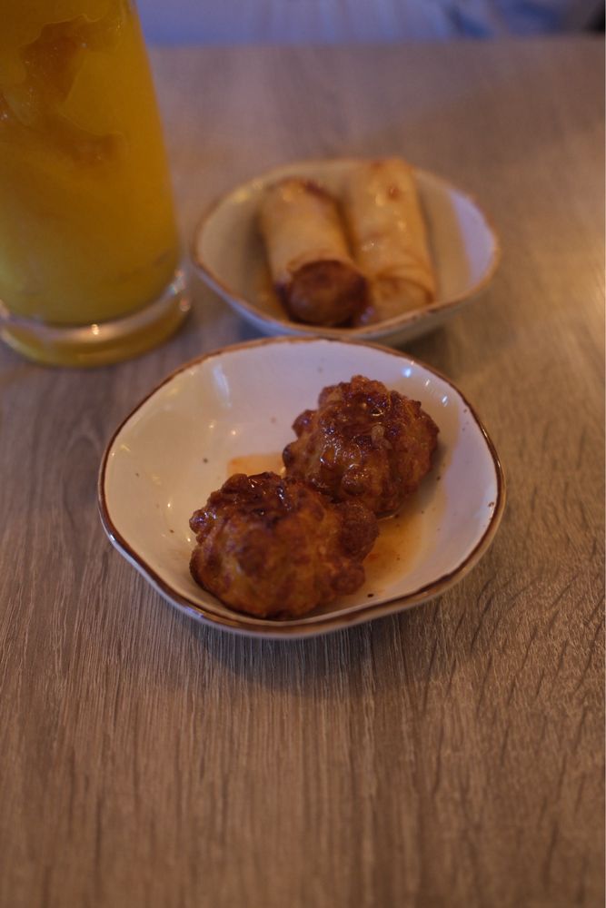 Fried Chicken Dumpling