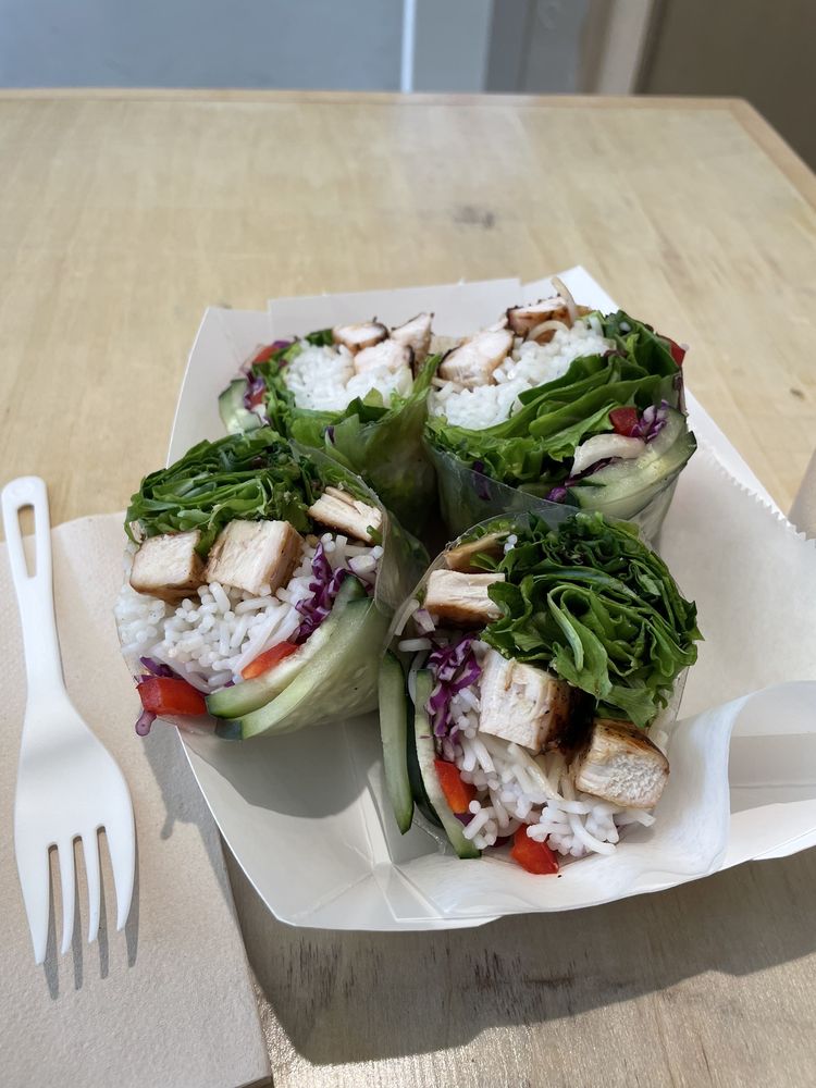 Crispy Spring Rolls - Chicken