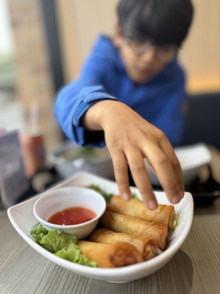 Spring Rolls