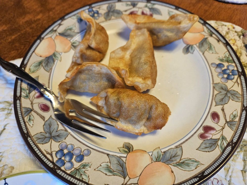 Gyoza