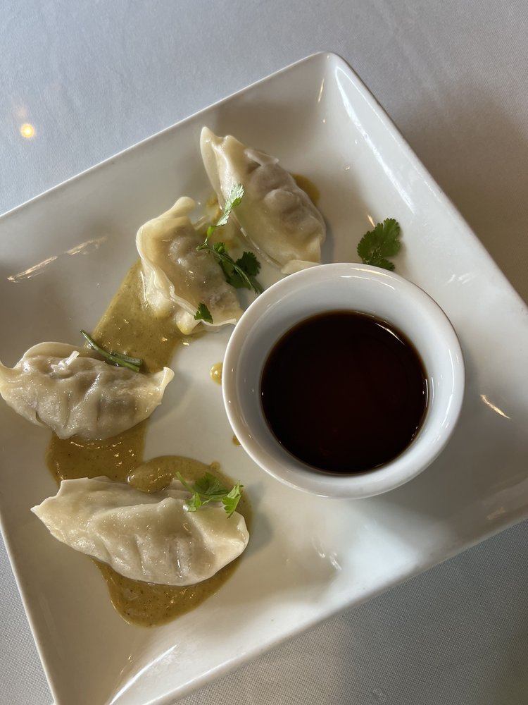 Chicken Dumplings
