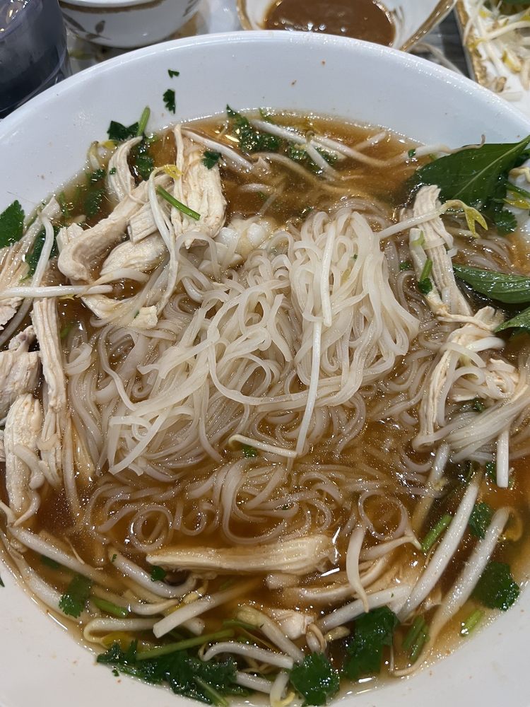 Plain Noodle Pho Soup
