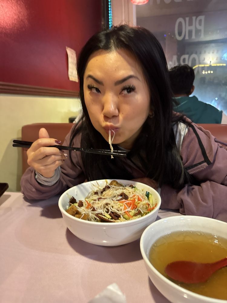 Vermicelli Rice Noodles