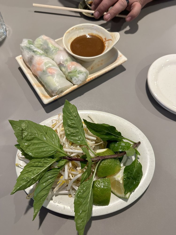 Grilled Beef or Pork or Chicken Spring Rolls