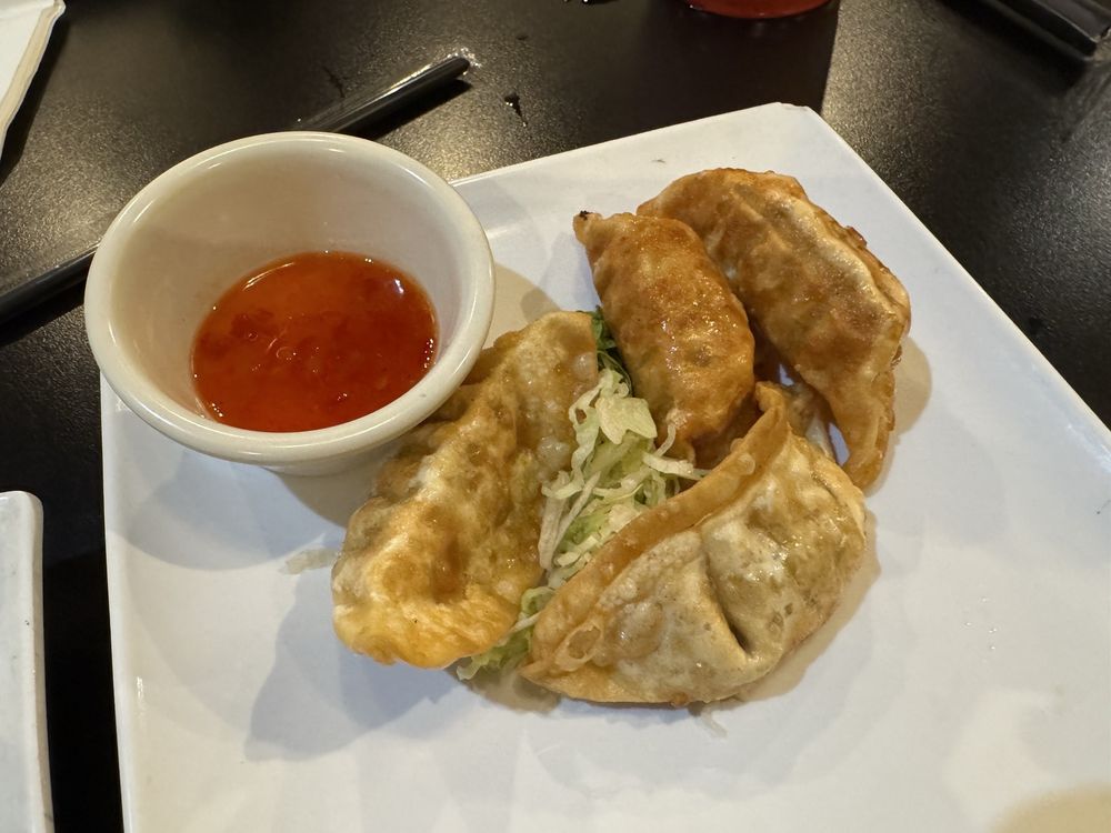 Crispy Chicken Dumplings