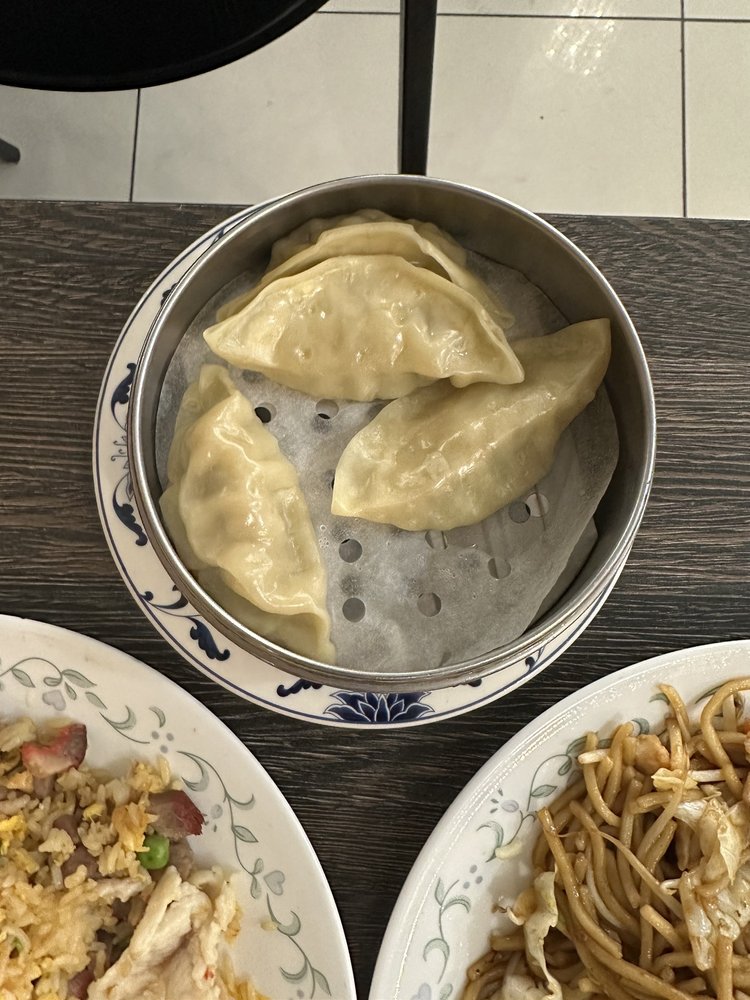 Pork Dumplings