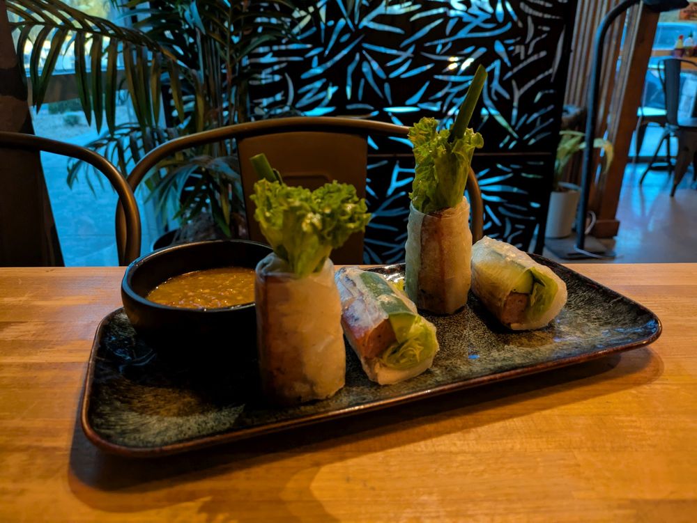 Grilled Pork Spring Rolls - Thit Nuong Cuon