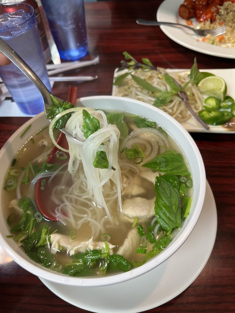 White Chicken Noodle Soup