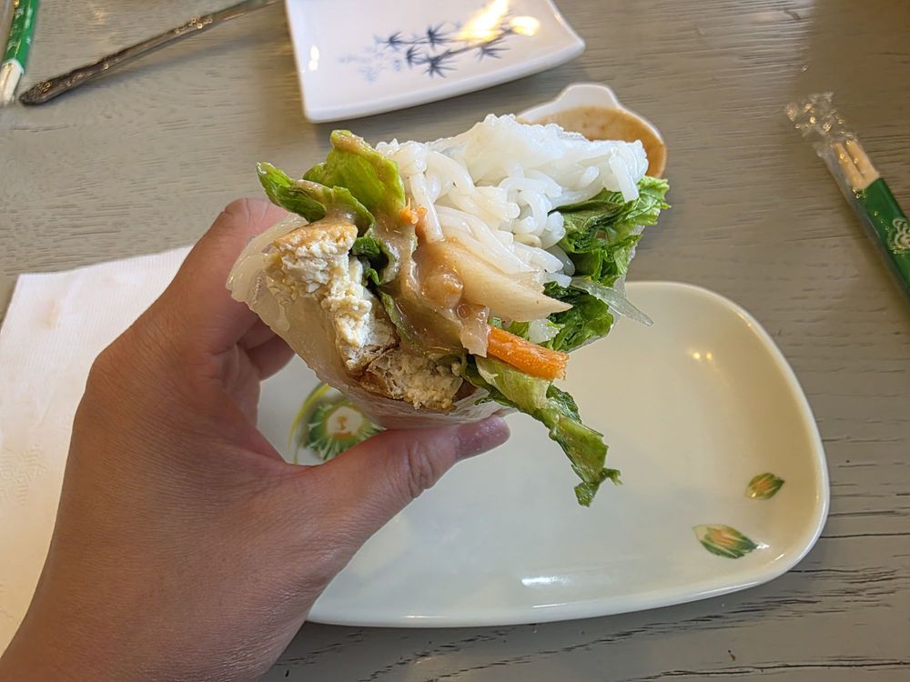 Vegan Tofu Spring Rolls