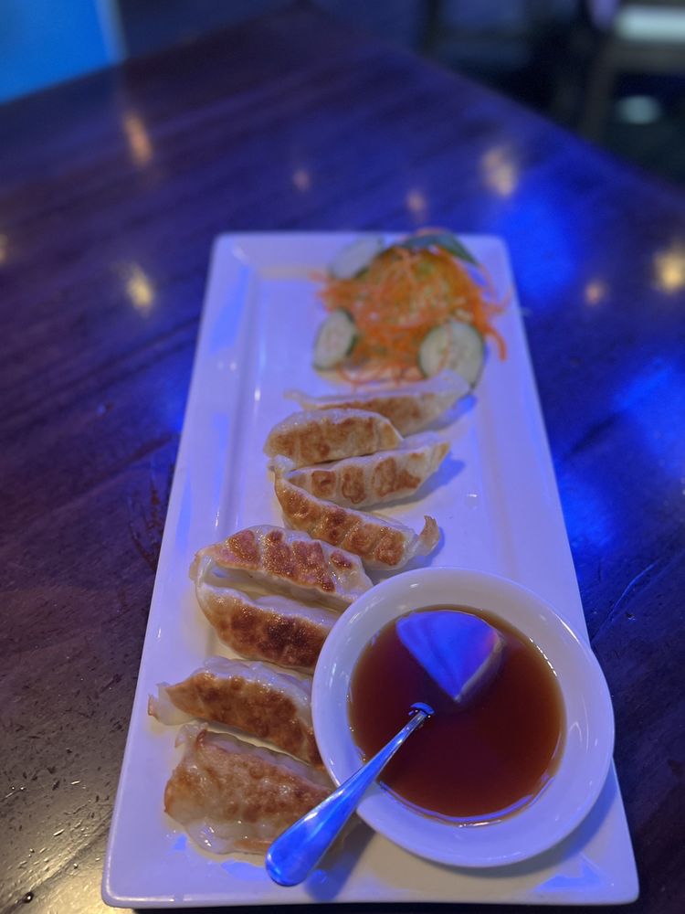 Pan Fried Chicken Dumplings