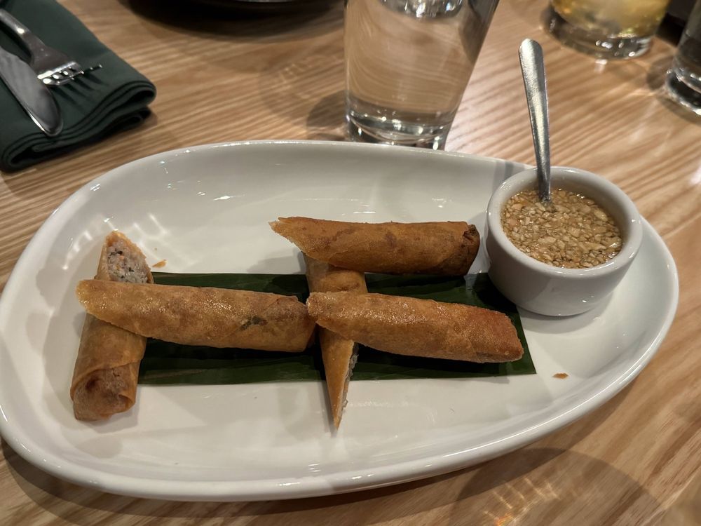 Crispy Spring Rolls