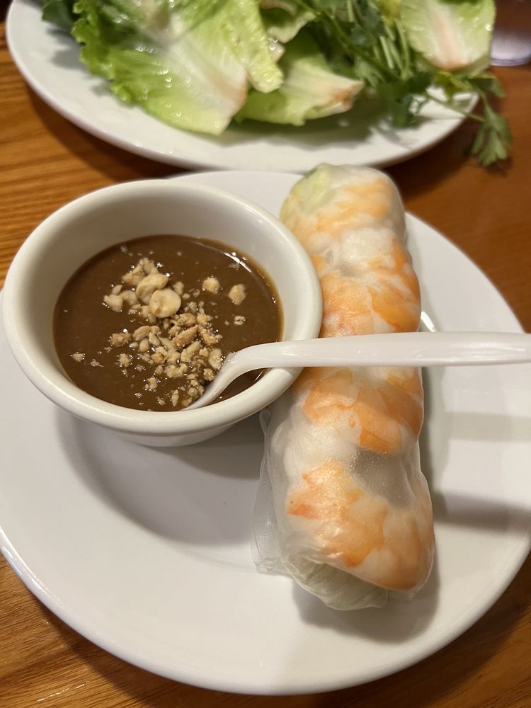 Vegetarian Fresh Spring Roll