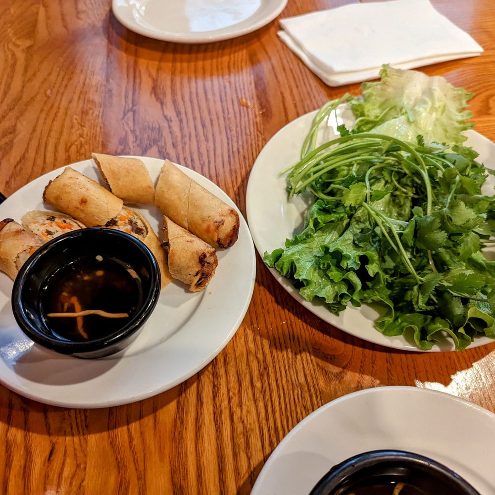 Vietnamese Style Fried Spring Rolls
