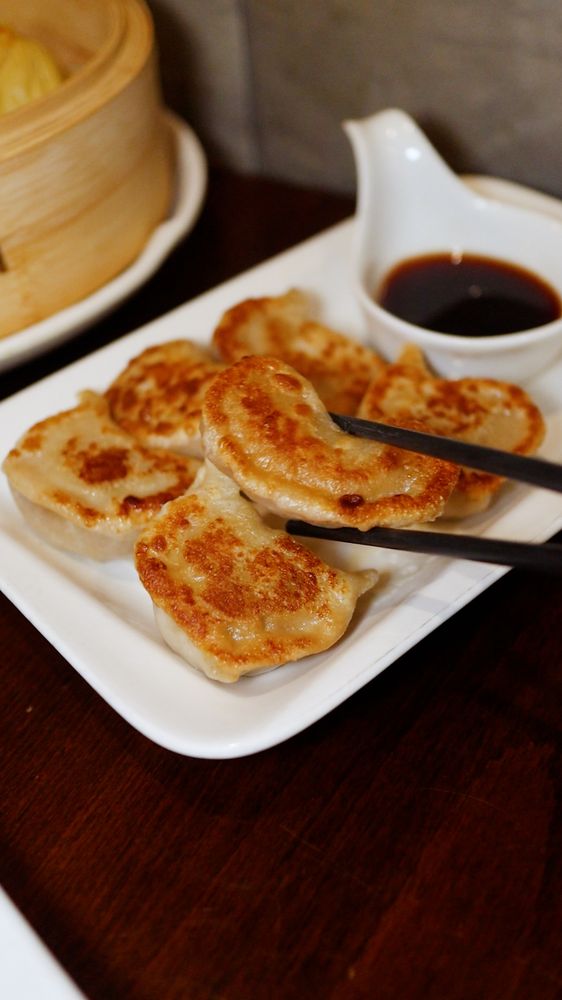 Pan Fried Dumplings