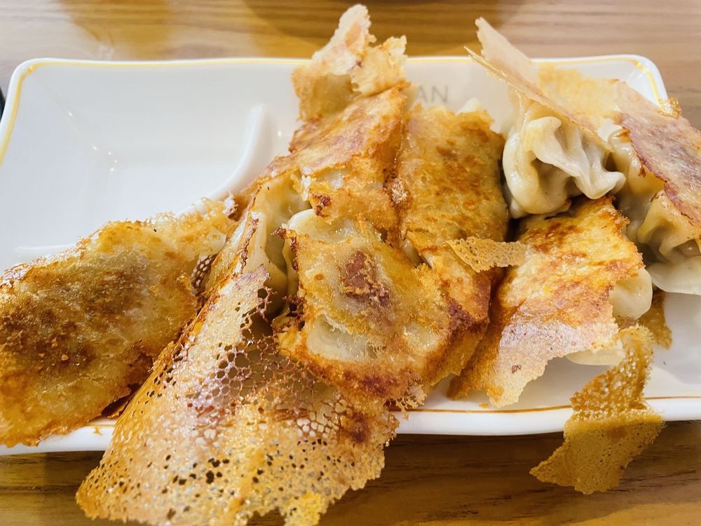 Pork and Scallion Dumplings