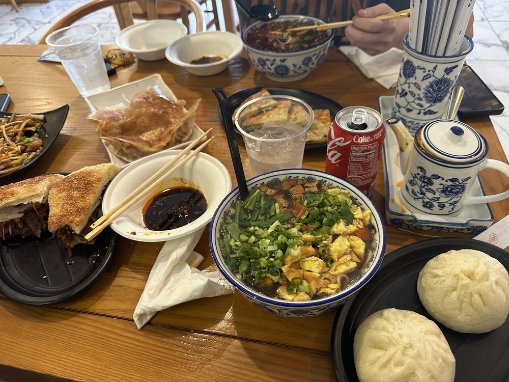 Braised Pork Noodles