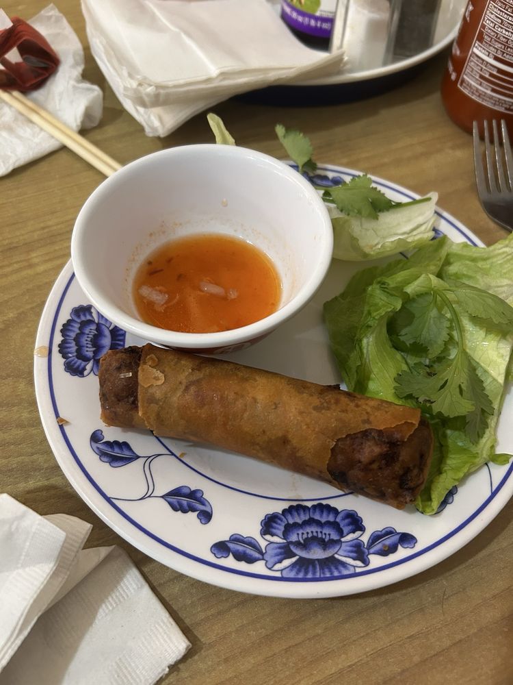 Vn Spring Rolls