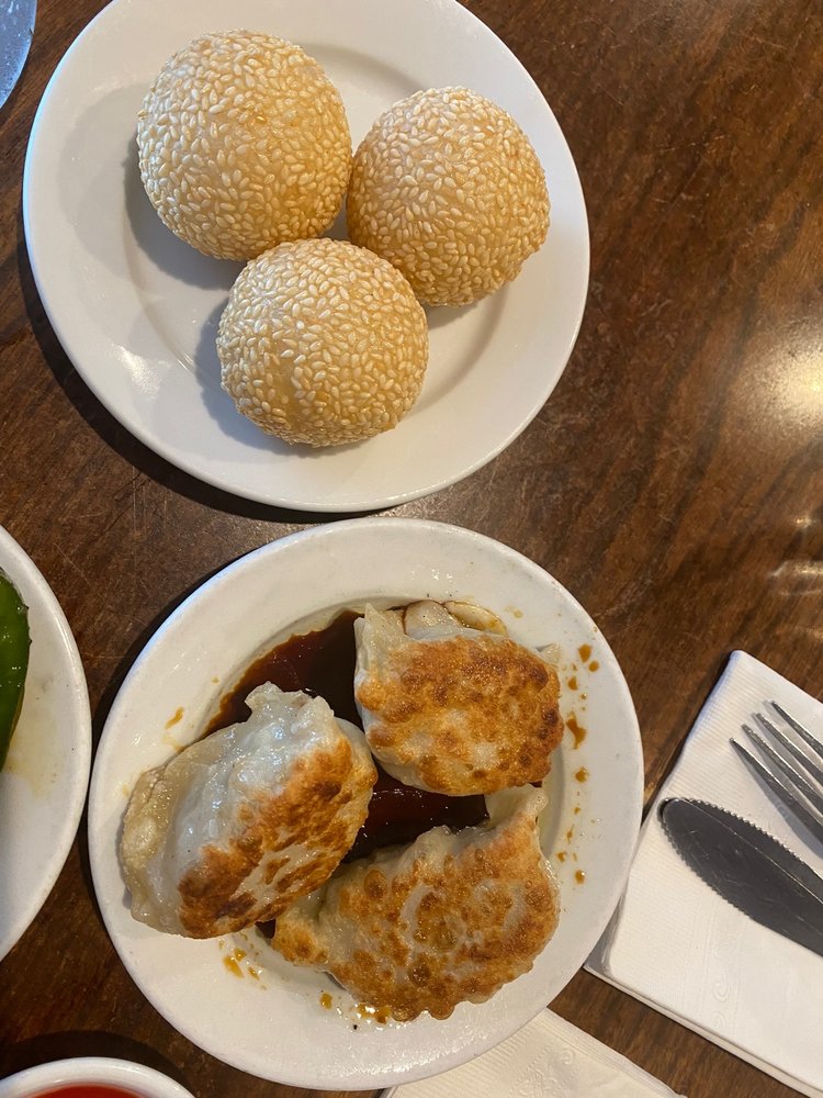 Pan Fried Pork Dumpling