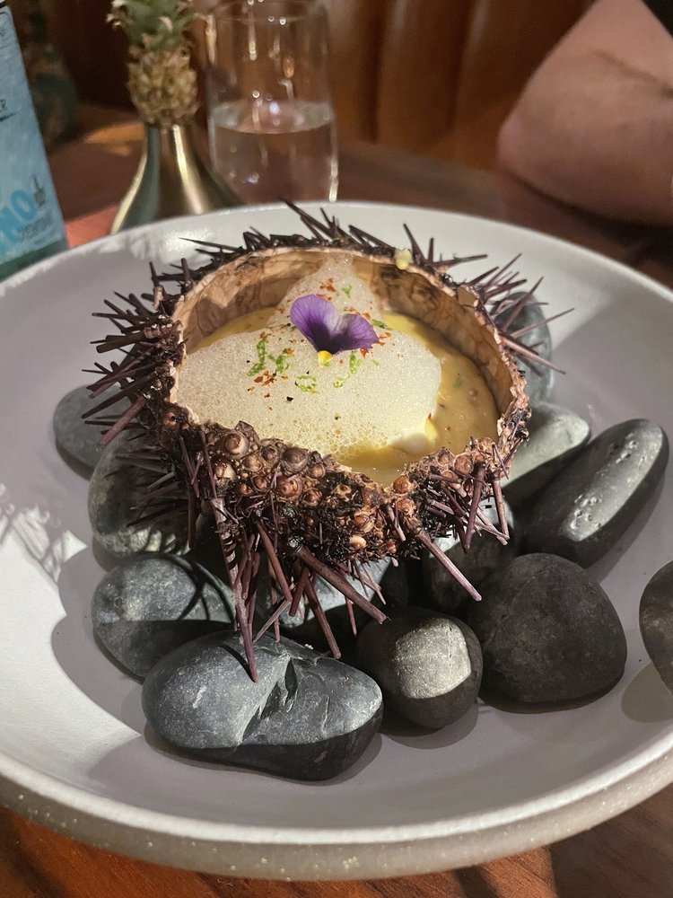 Sea Urchin Corn Chowder