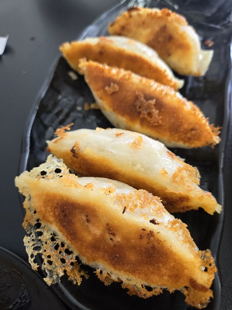Pan Fried Dumplings