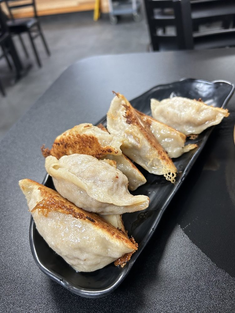 Fried Pork Dumplings