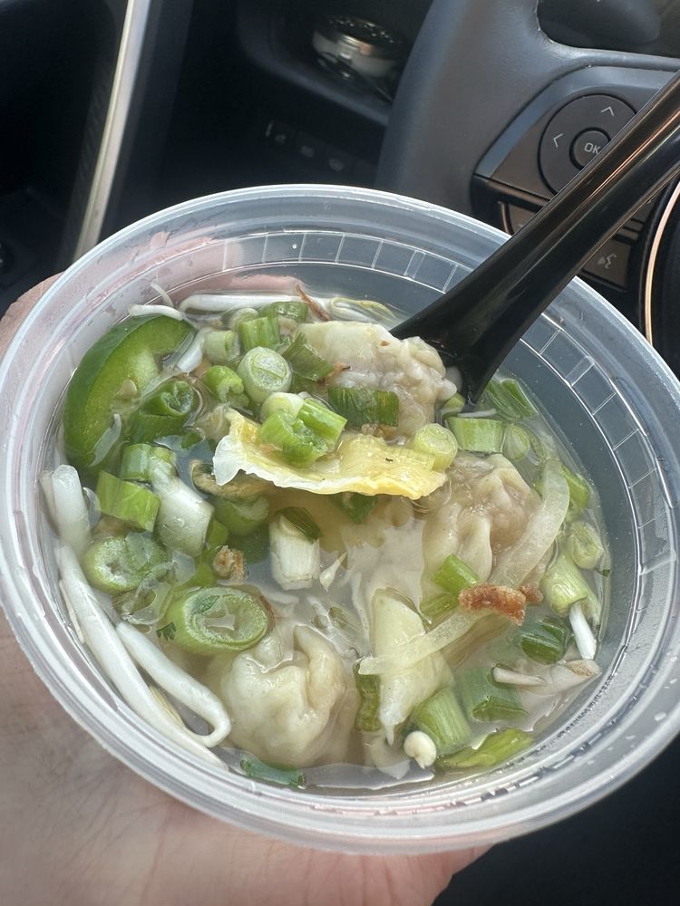 Wonton Soup