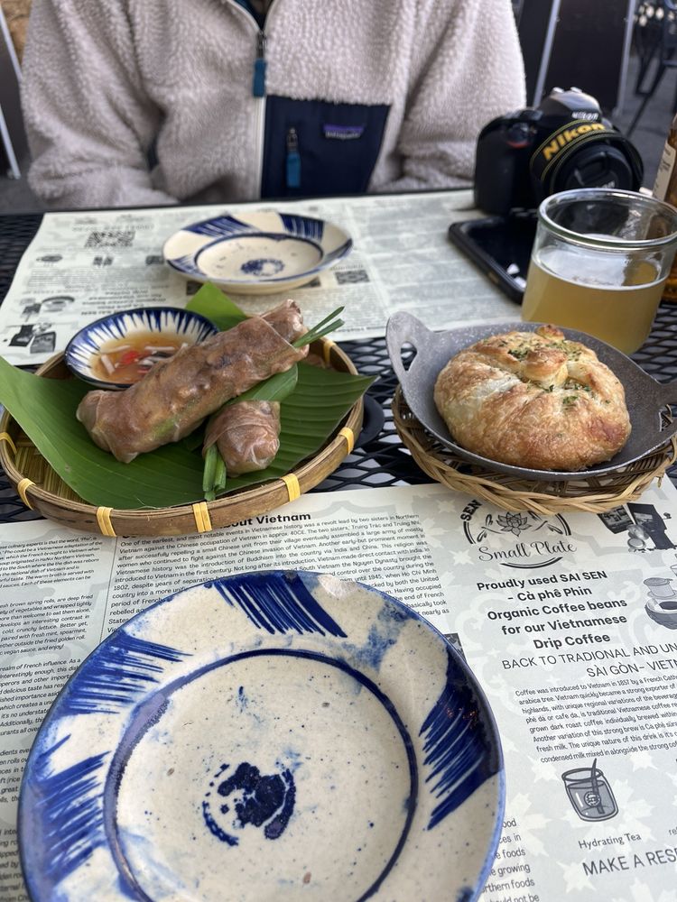 Fresh Brown Spring Roll