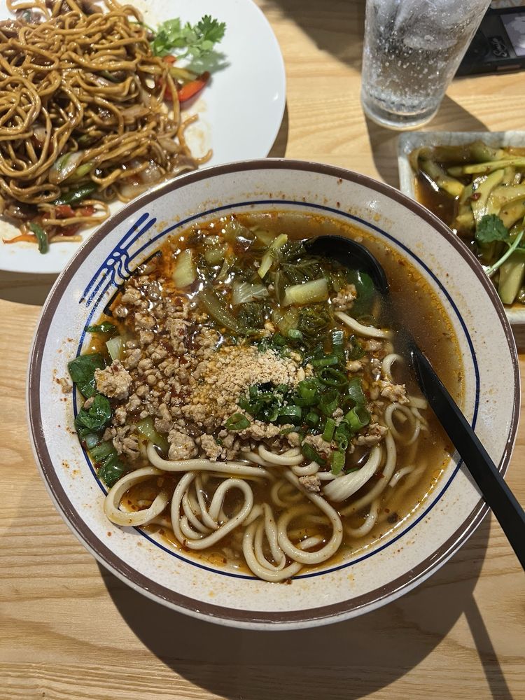 Hot and Spicy Noodle Soup