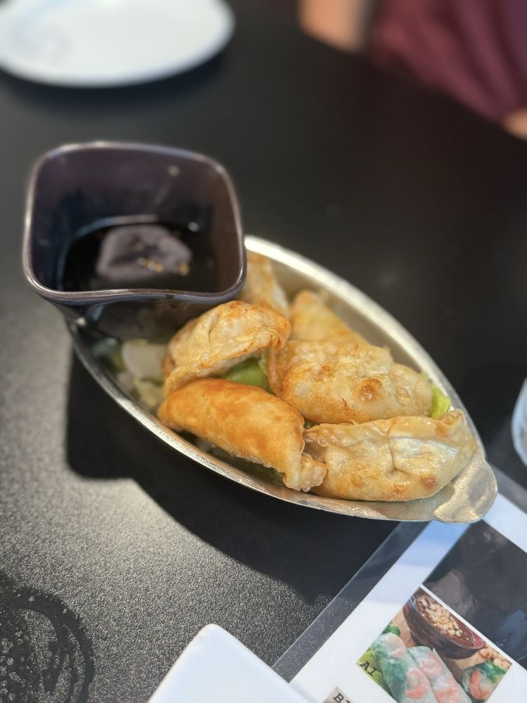 Steamed Chicken Dumplings