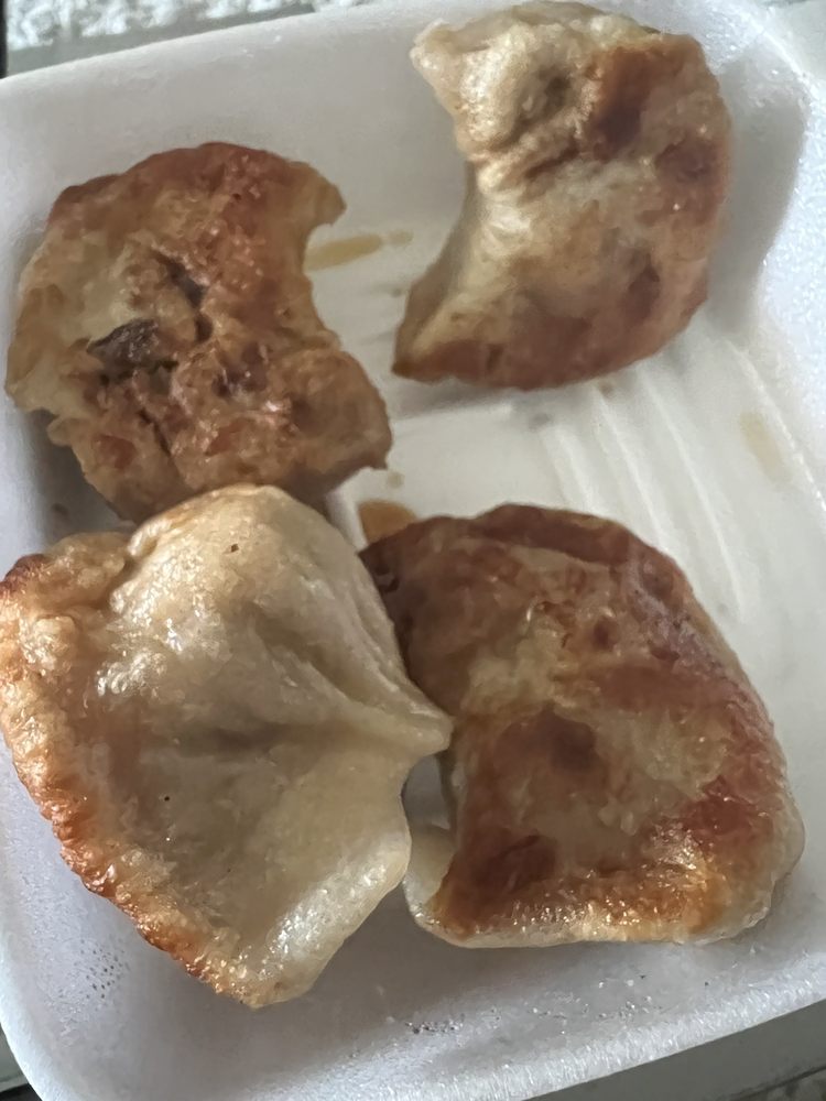 Fried Pork Dumplings