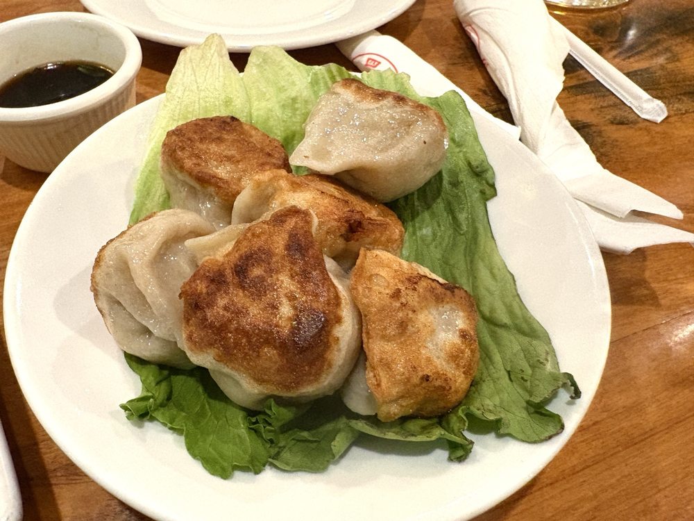 Pan Fried Dumplings