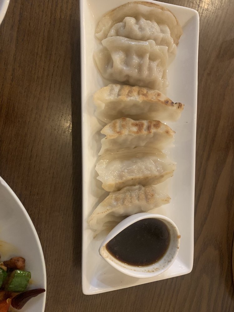 Pan Fried Pork Dumplings