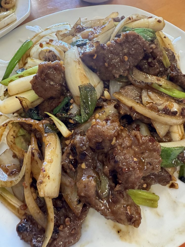 Mongolian Beef