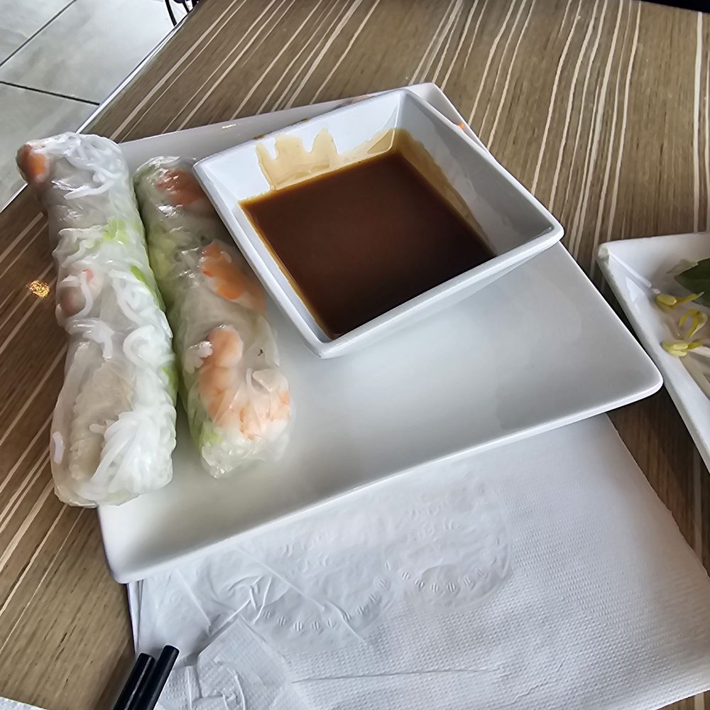 2 Barbeque Pork Spring Roll