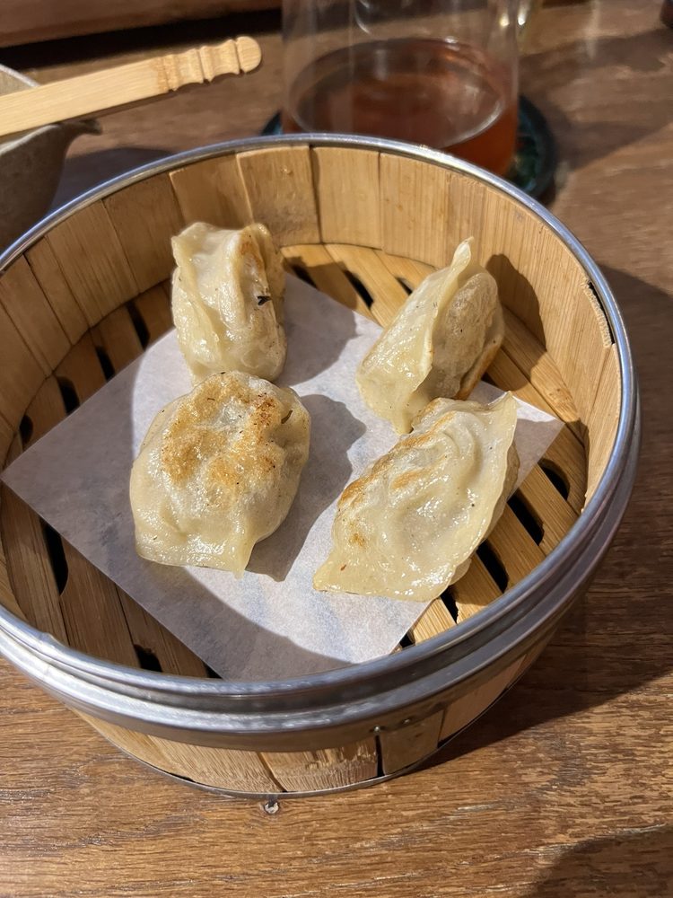 Chicken Dumplings