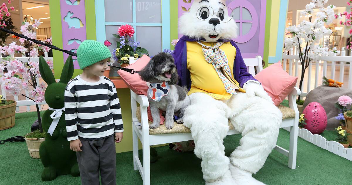 Không khí vui tươi của cư dân mang thú cưng đến chơi tại các khu vực công cộng Santa Ana.