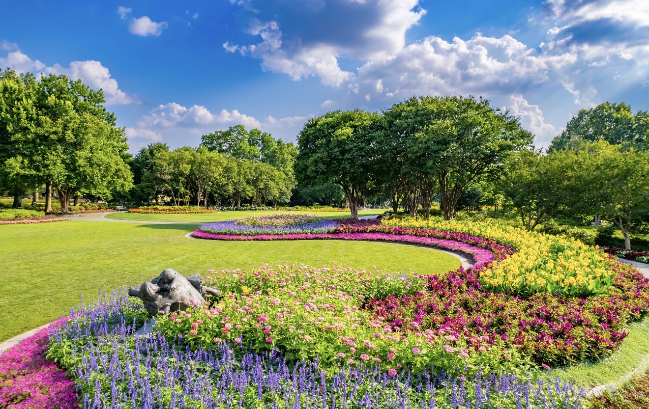 Vườn hoa Dallas Arboretum – không gian xanh mát, hoa nở quanh năm, lý tưởng để dạo chơi và chụp ảnh.