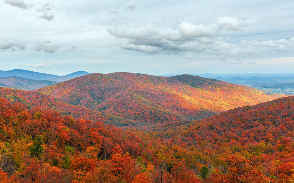 Skyline Drive trong Shenandoah National Park – cung đường ngắm lá thu rực rỡ nhất miền Đông Mỹ, điểm đến thiên nhiên không thể bỏ qua khi du lịch Virginia 2026