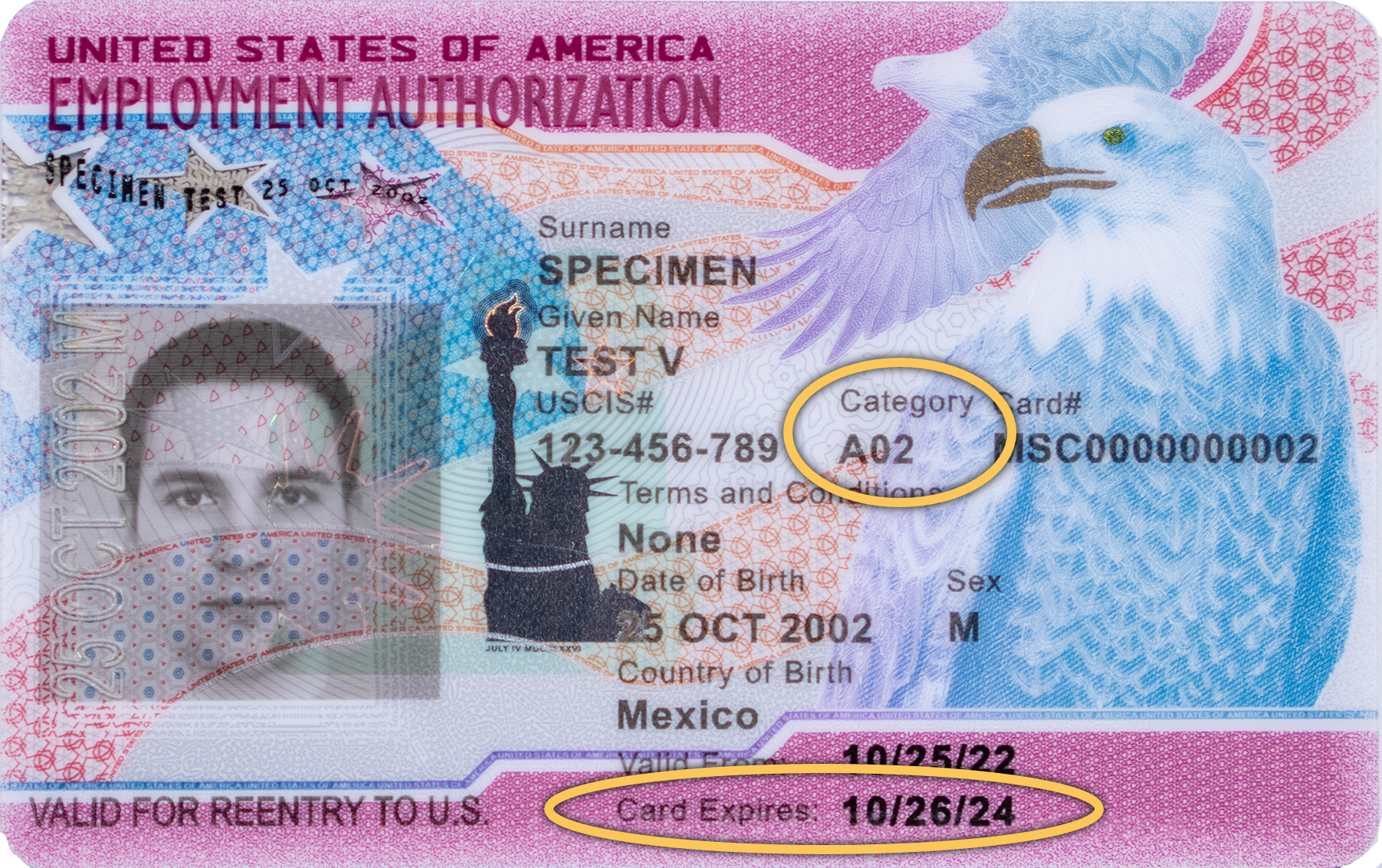 Mẫu thẻ EAD (I-766) trên trang hướng dẫn chính thức của USCIS. Nguồn: USCIS.gov